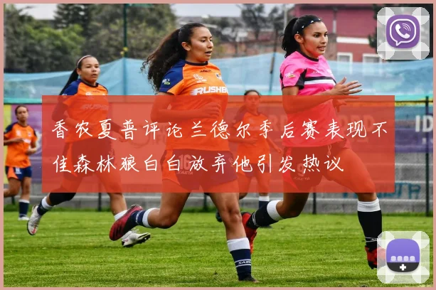 香农夏普评论兰德尔季后赛表现不佳森林狼白白放弃他引发热议